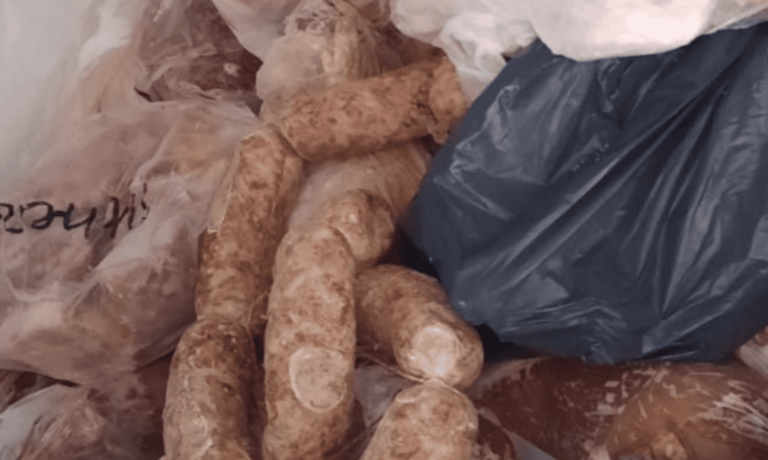 Juárez Celman: Clausura y decomiso de carne porcina por casos de triquinosis